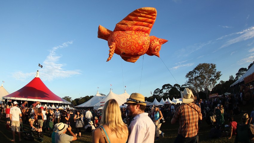What Festivals Events Are Happening In Chicago This Weekend NBC Chicago What Festivals Events Are Happening In Chicago This Weekend NBC Chicago