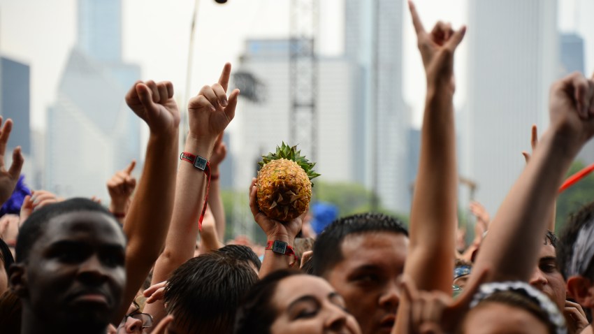 504260649CO00024_2014_Lolla