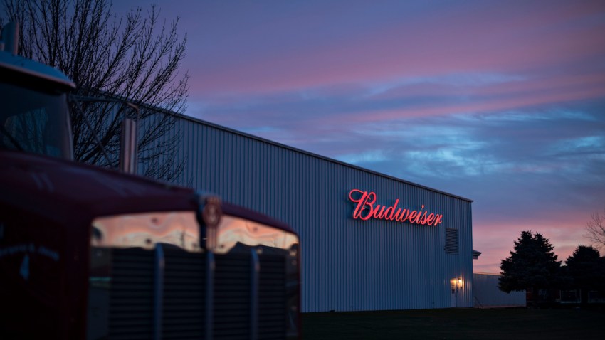 ANHEUSER-BUSCH INBEV EARNS