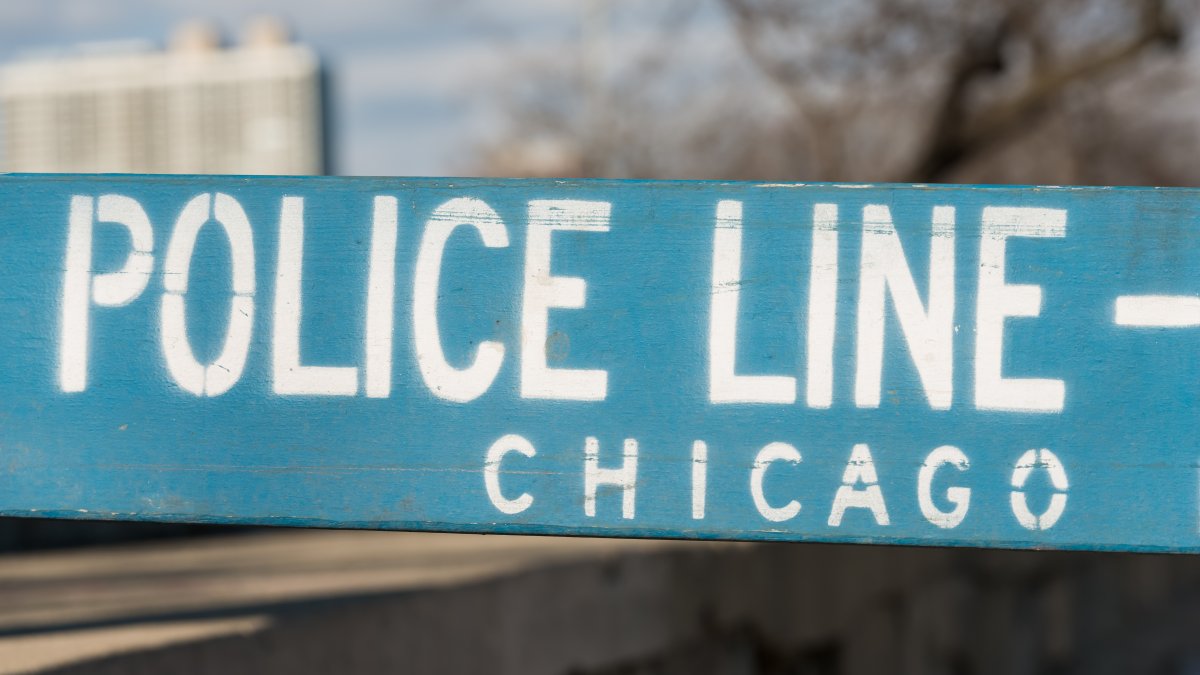 Woman Charged with Striking and Killing Bicyclist in West Loop, Then Driving Away - Vimarsana News