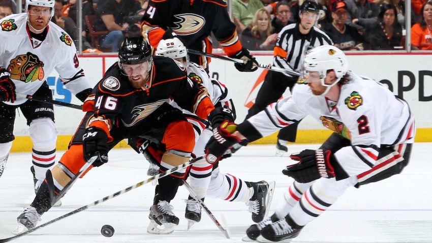 554343019DR_Hawks_Ducks