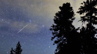 A Perseid meteor streaks across the sky above desert pine trees