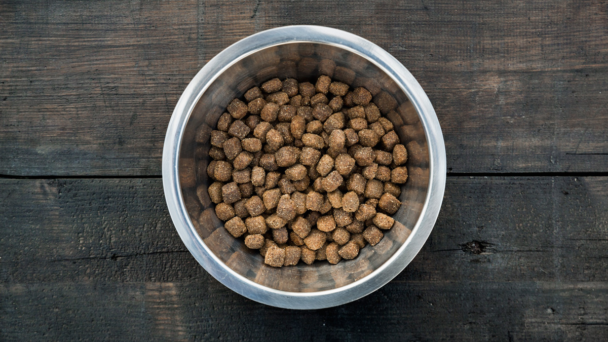 Purina Issues Recall For Certain Prescription Dog Food NBC Chicago