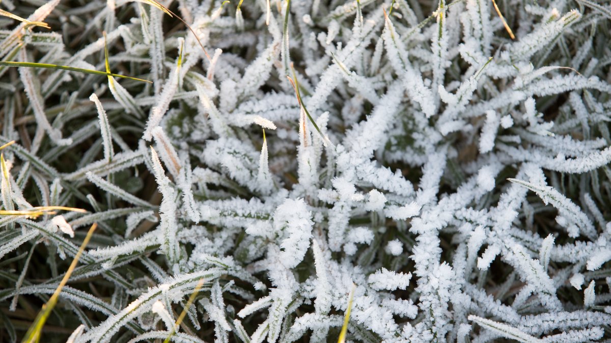 Frost advisory overnight in Illinois, with even cooler temps possible Friday