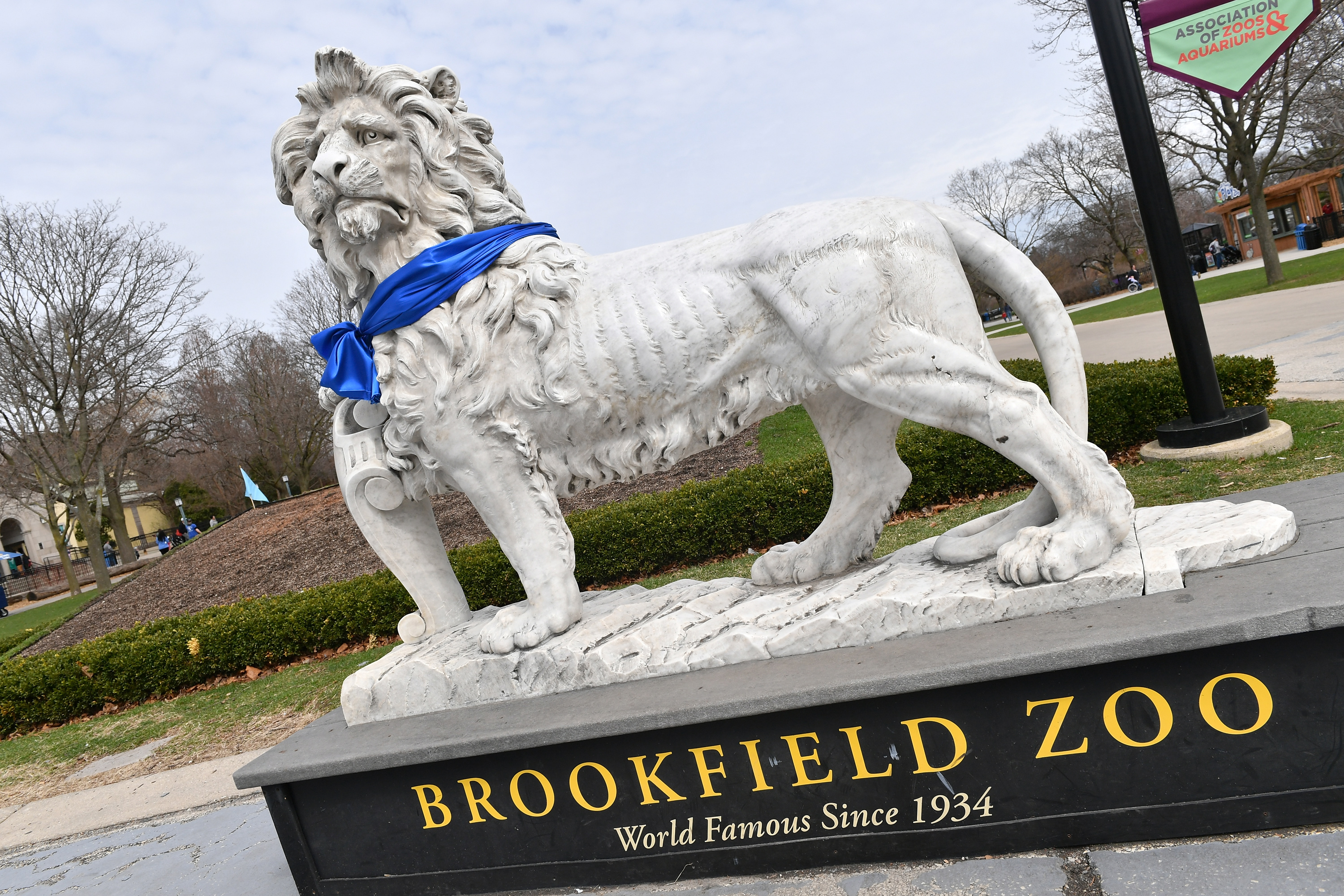 Brookfield Zoo to Close Through April 30 to Slow Spread of Coronavirus