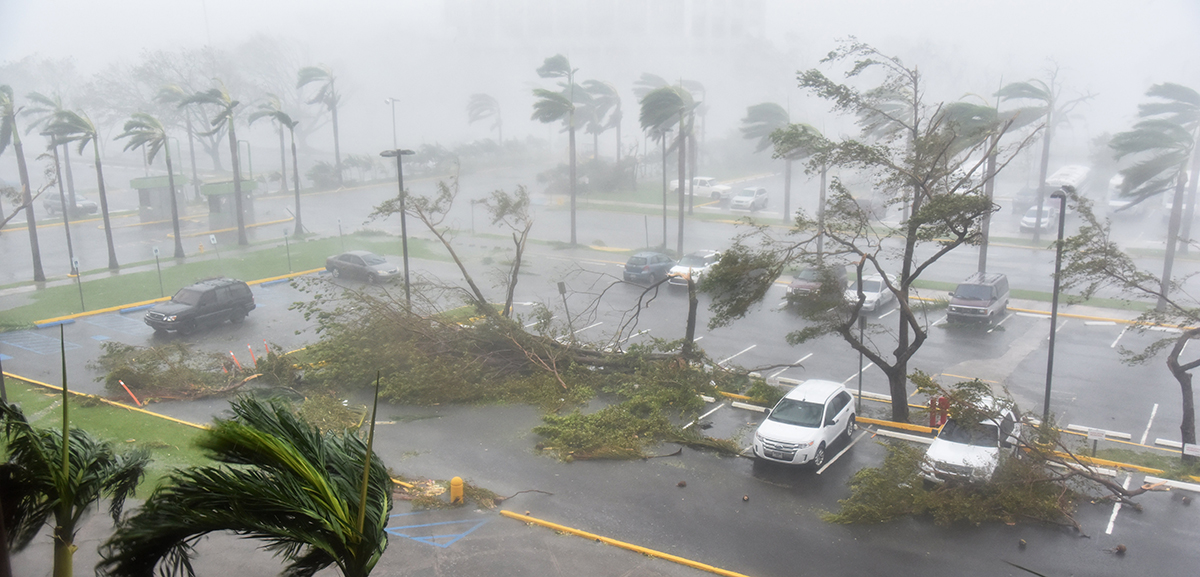 Trees are toppled in a parking lot at Roberto Clemente Coliseum in San Juan, Puerto Rico, on Sept. 20, 2017, during the passage of Hurricane Maria. Maria made landfall on Puerto Rico early Wednesday morning, pummeling the US territory after already killing at least two people on its passage through the Caribbean.