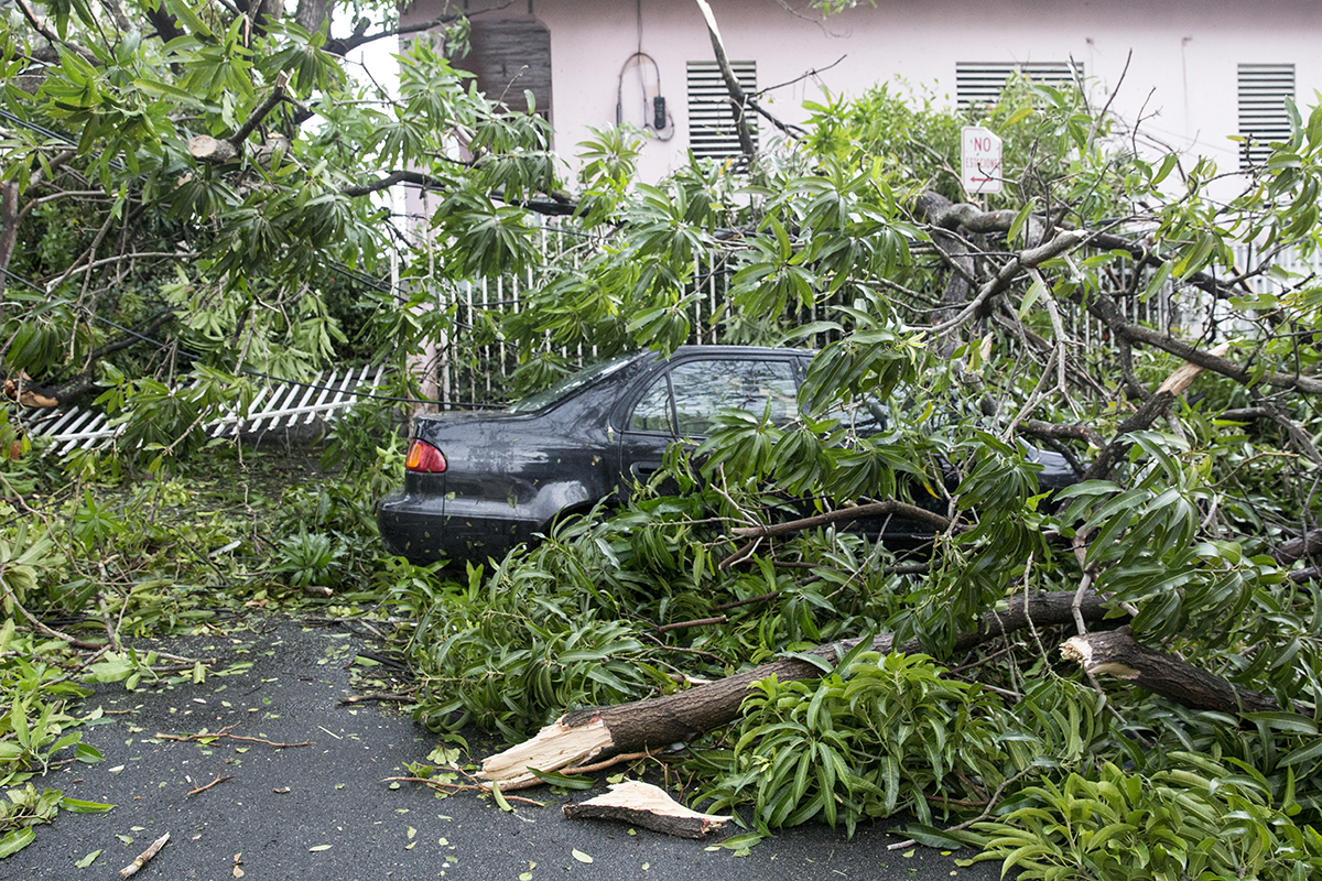 Fallen trees surround a car in the Miramar neighborhood after Hurricane Maria made landfall on Sept. 20, 2017, in San Juan, Puerto Rico. Thousands of people have sought refuge in shelters, and electricity and phone lines have been severely effected.