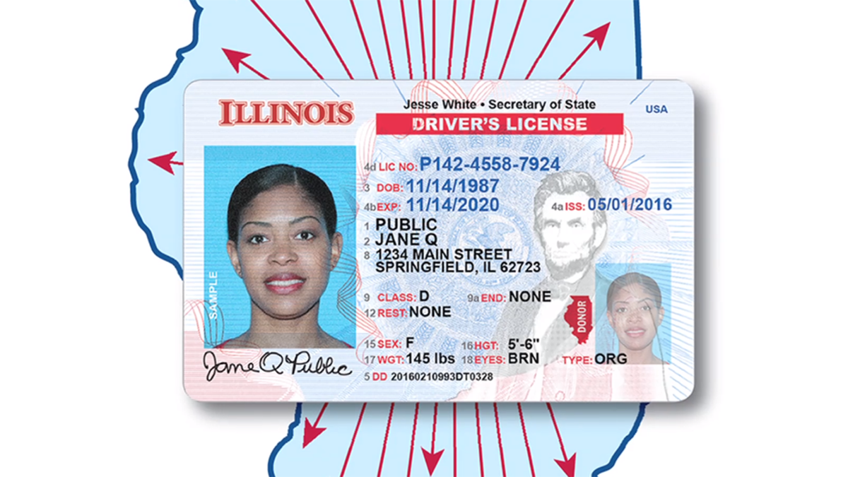 Illinois template id card