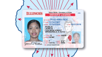 Bill Introduced in Illinois House Proposes Digital Driver's Licenses For Illinois Residents