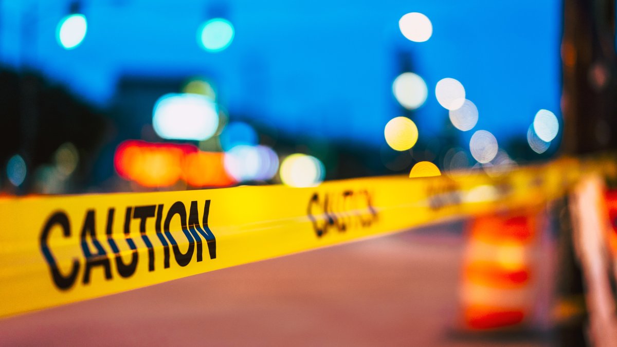 2 people dead following domestic disturbance at north suburban home