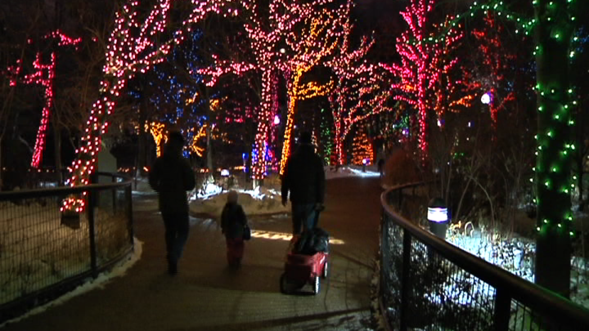 ZooLights at Lincoln Park Zoo to Wrap Up for the Season Sunday NBC