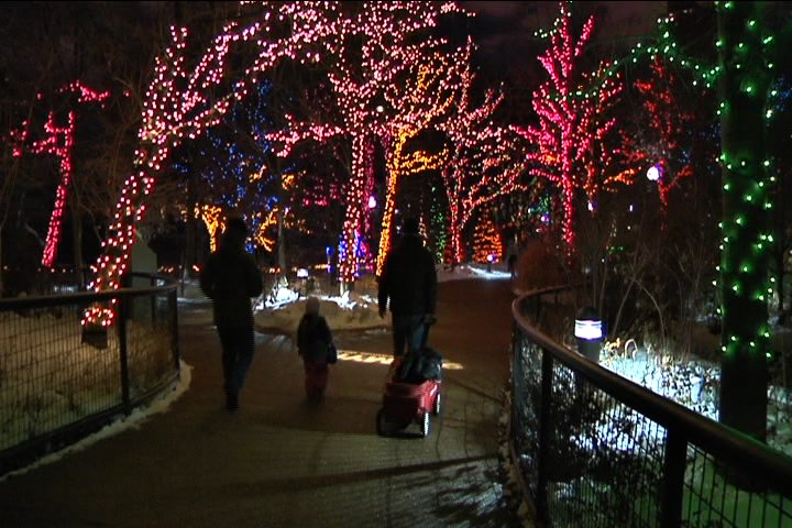 ZooLights at Lincoln Park Zoo to Wrap Up for the Season Sunday
