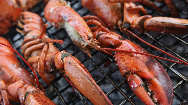 Lobster11