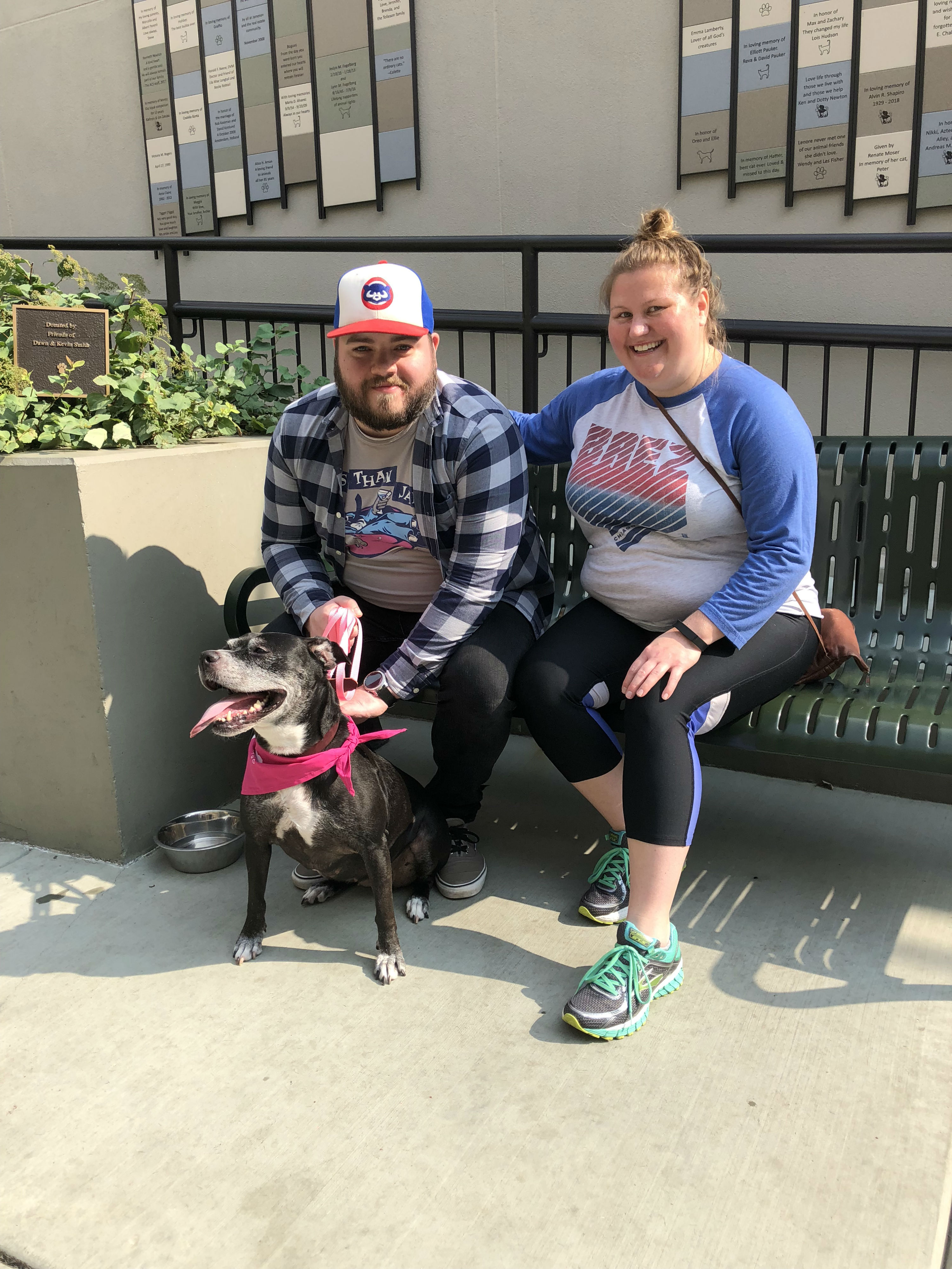 3000x4000 pimpandhost lola Clear the Shelters: More Than 100 Chicago-Area Pets Adopted in Just Two Hours – NBC Chicago