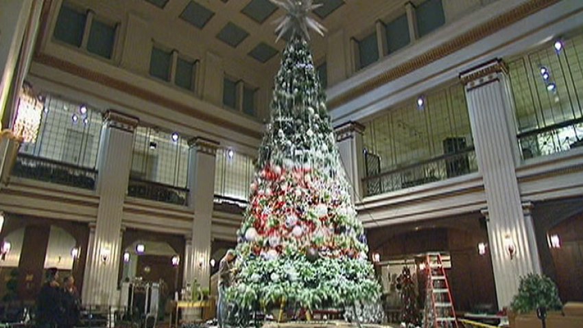 Macys-Tree