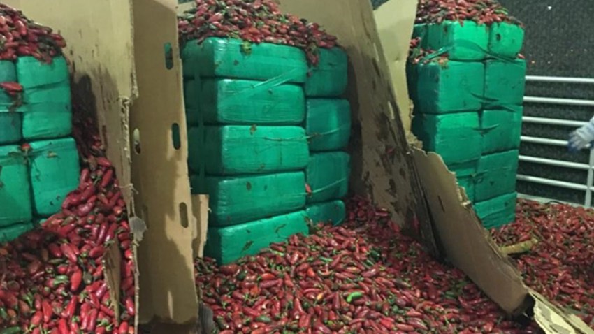 Marijuana Jalapeno Peppers CBP Photo