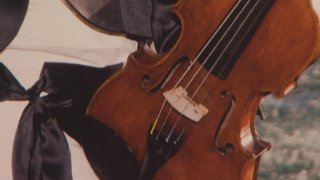 N5P SF STOLEN VIOLIN SOTVO - 00003310