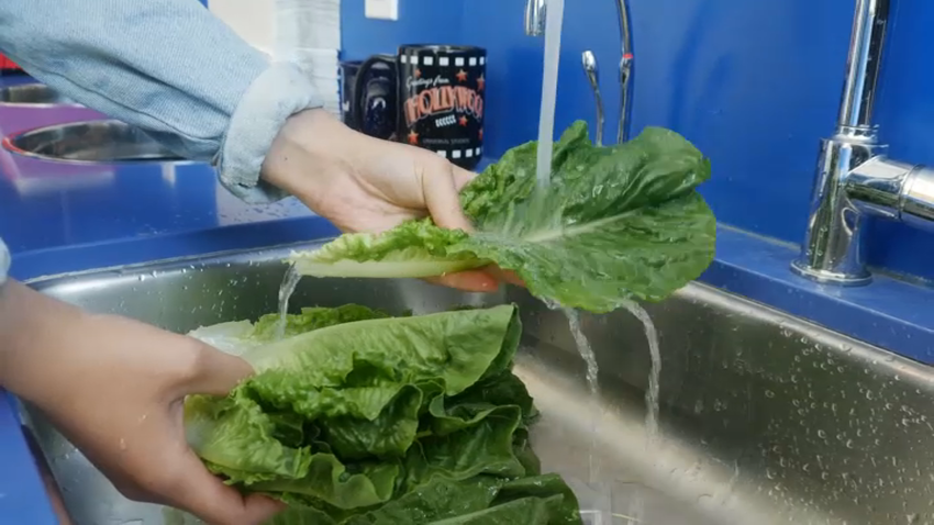 ROMAINE LETTUCE