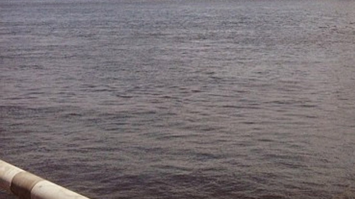 Tugboat Crew Member Reported Missing After Falling Into Des Plaines River Near Channahon Monday