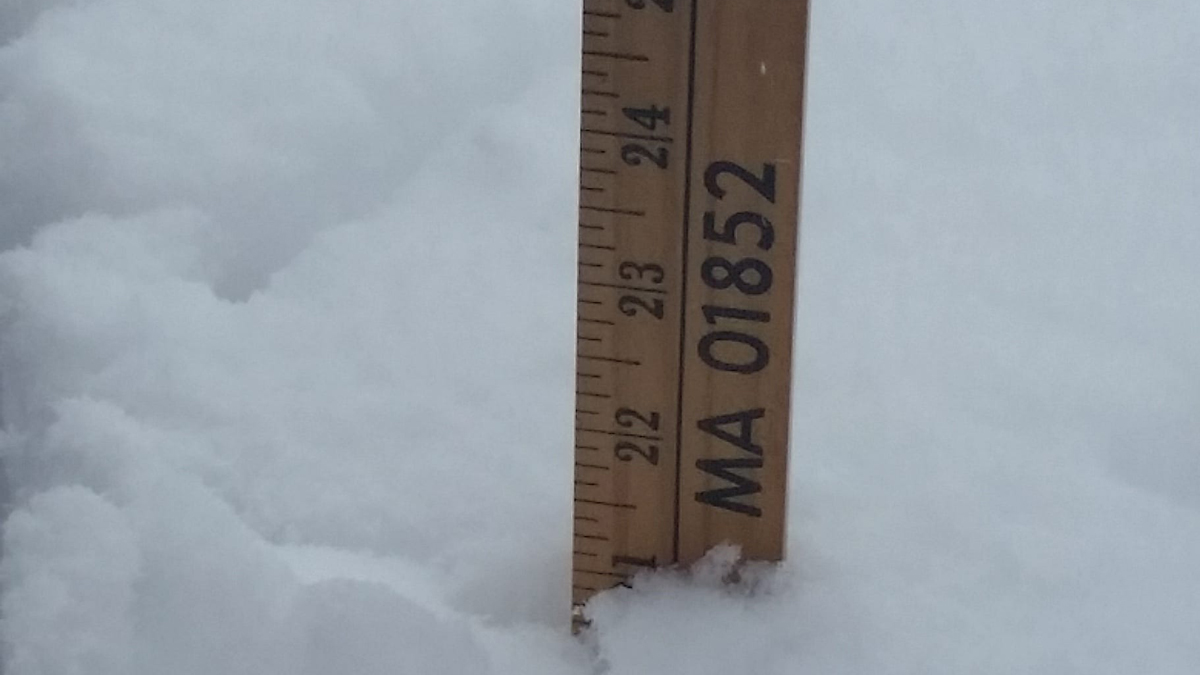 How much snow will the Chicago area get? Latest predicted snow totals amid blizzard warning How much snow will the Chicago area get? Latest predicted snow totals amid blizzard warning