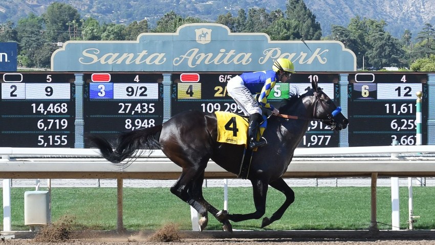 Santa-Anita-Horse-Death-October-2019