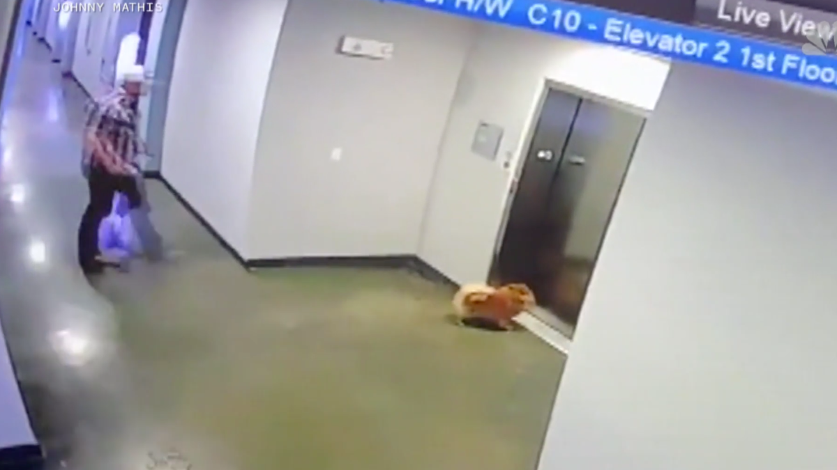 WATCH Man Rescues Dog After Leash Gets Caught in Elevator NBC Chicago