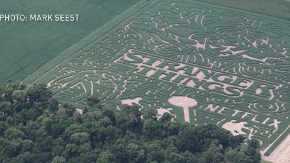 Stranger Things Corn Maze To Open In Indiana Nbc Chicago