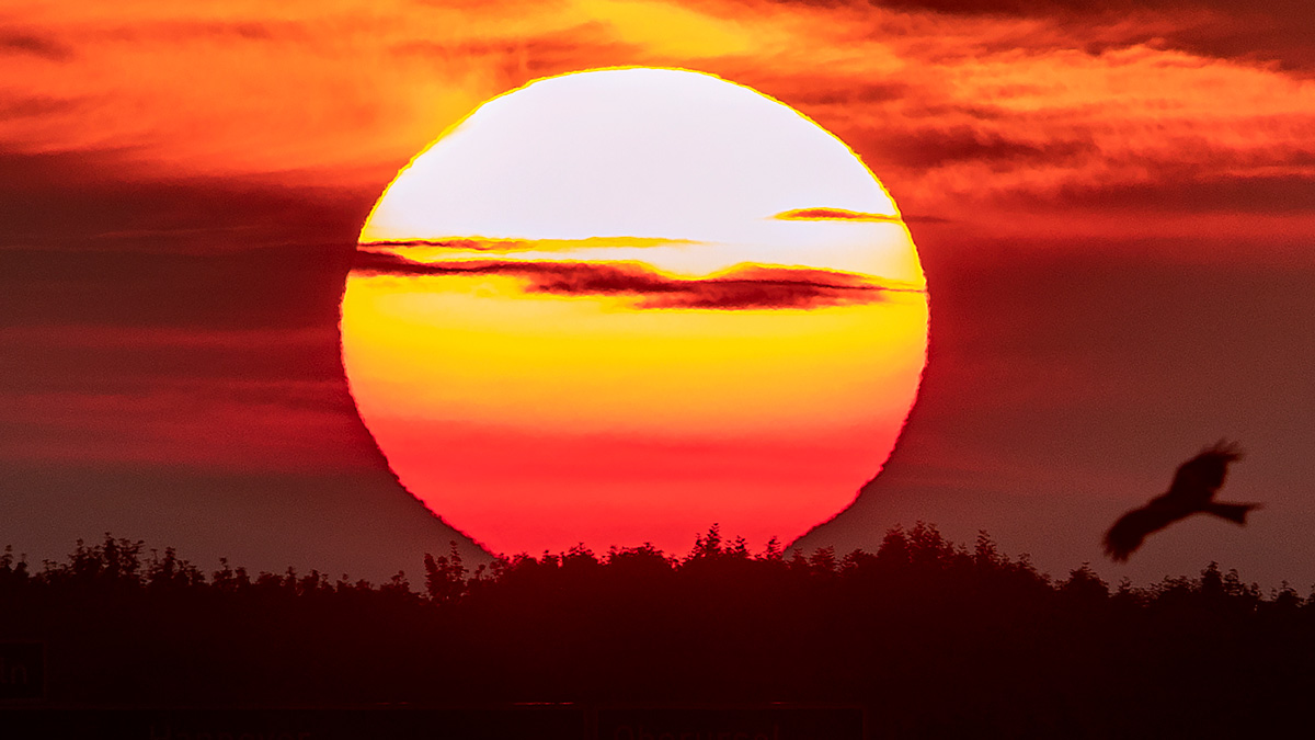 Summer solstice 2025: Friday marks 1st day of summer, with 15 hours of sunlight
