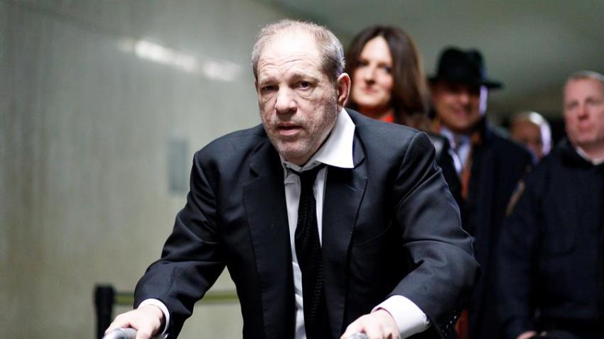 TLMD-EFE-Harvey-Weinstein