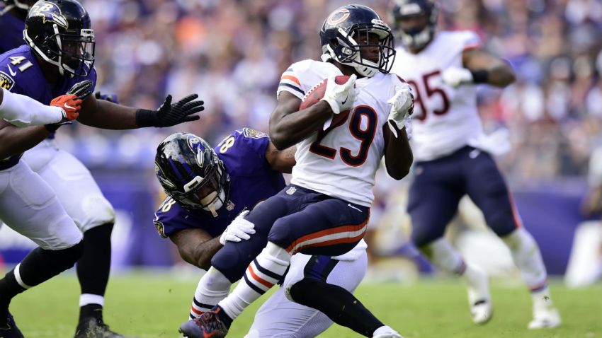 TarikCohen