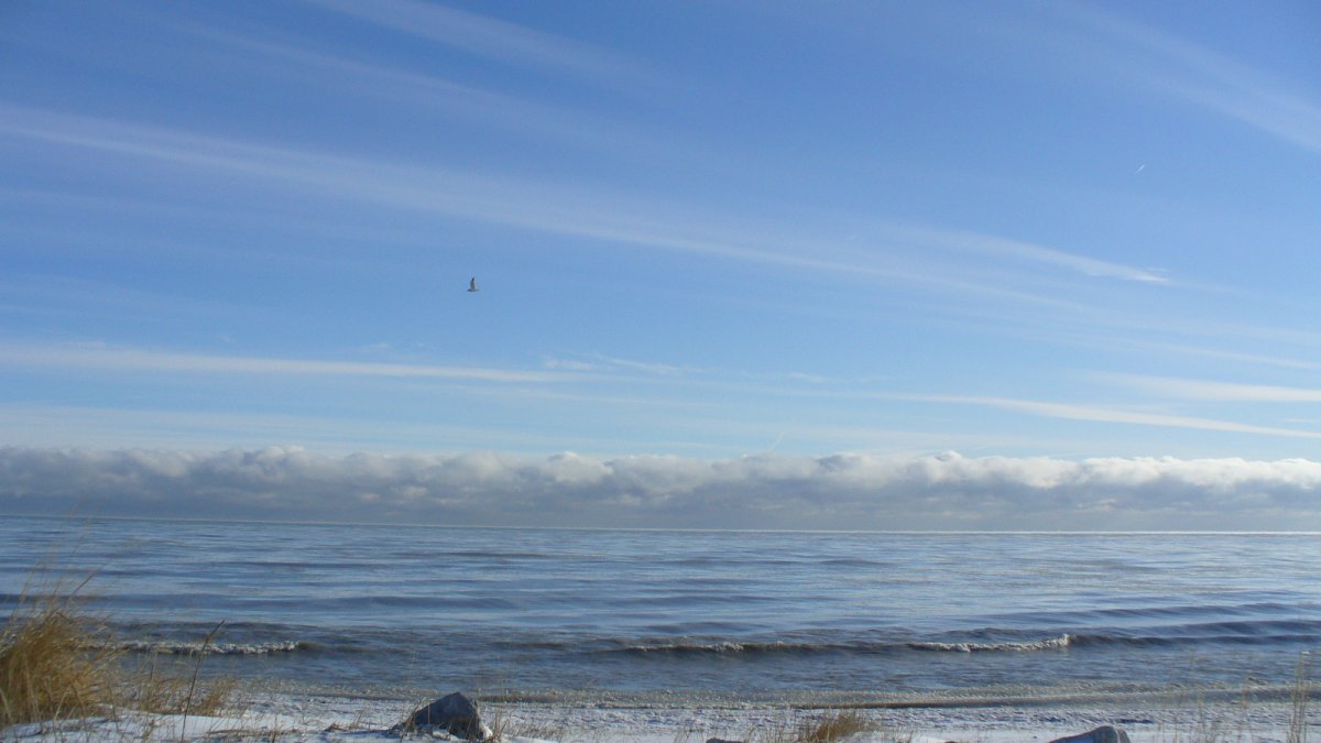 Authorities ID man who died after rescue by good Samaritans at Illinois Beach State Pa...