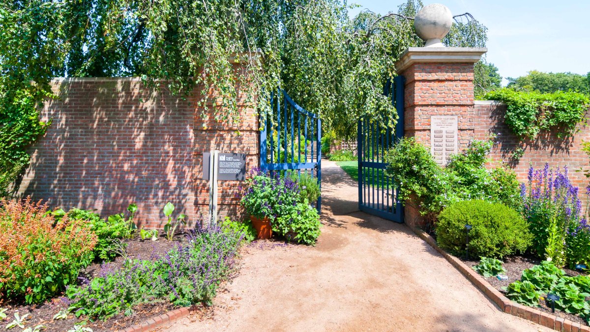 2 seriously injured in display collapse at Chicago Botanic Garden Lightscape event: Lawsuit