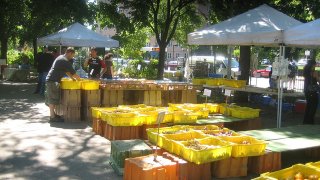 <h2> Loyola Farmers Market </h2>