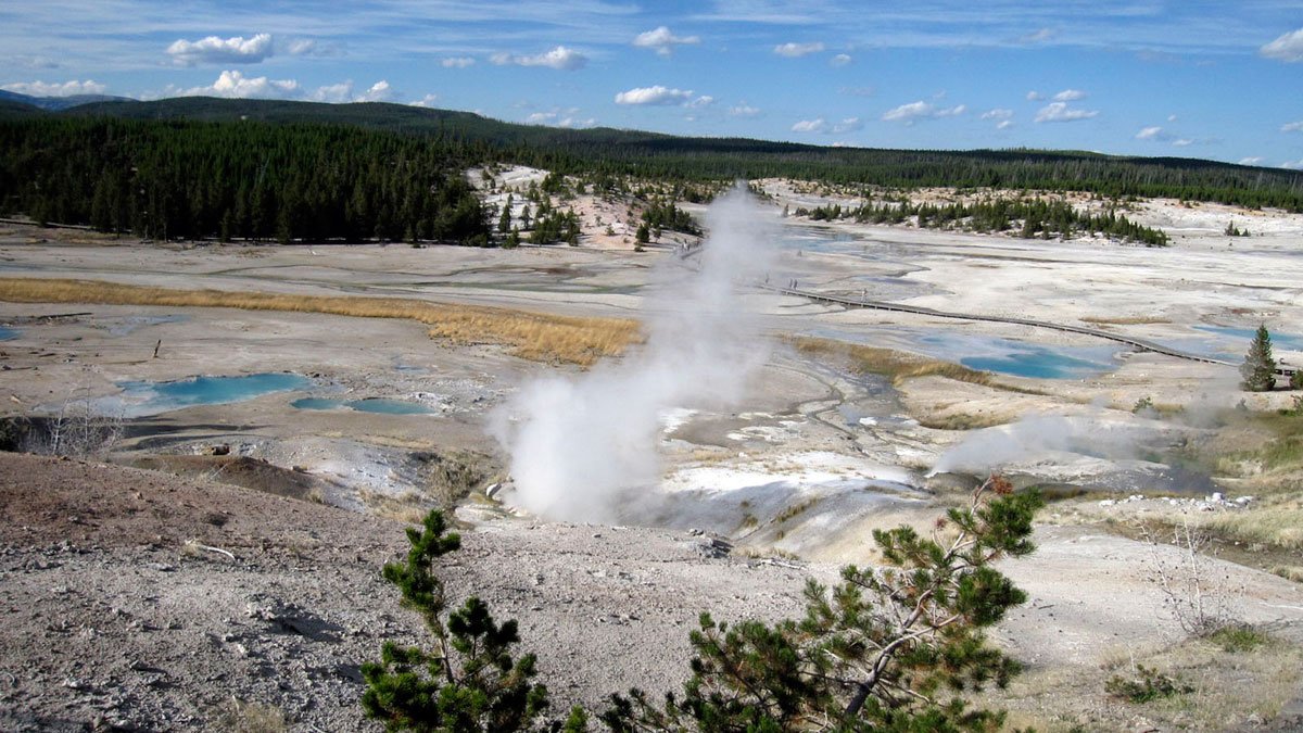 Yellowstone: Woman in Critical Condition After Trying to Save Dog From Hot Spring – NBC Chicago - Vimarsana News