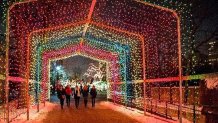 ZooLights 11-20