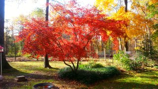 [UGCDC-CJ-weather]Fall in Walkersville Maryland