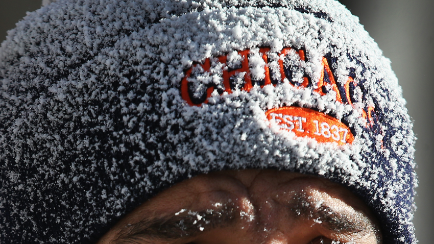 bears hat