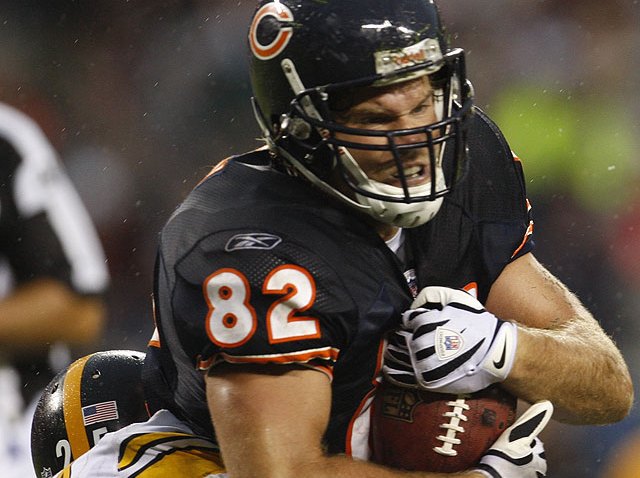bears6
