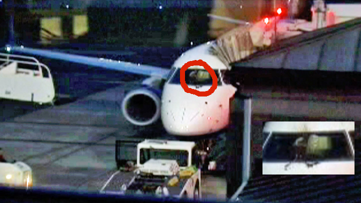 bird strike circle