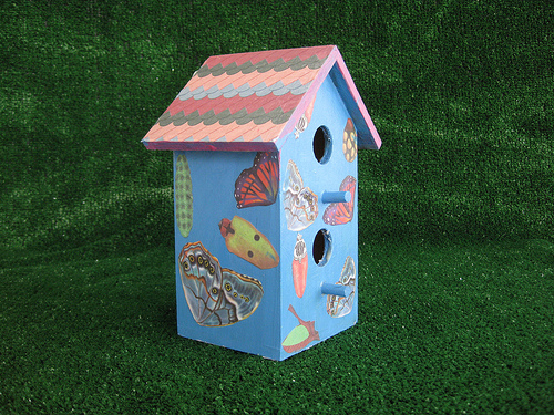 birdhouse_mscorrea