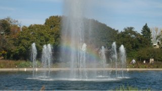 brookfield zoo roosevelt fountain