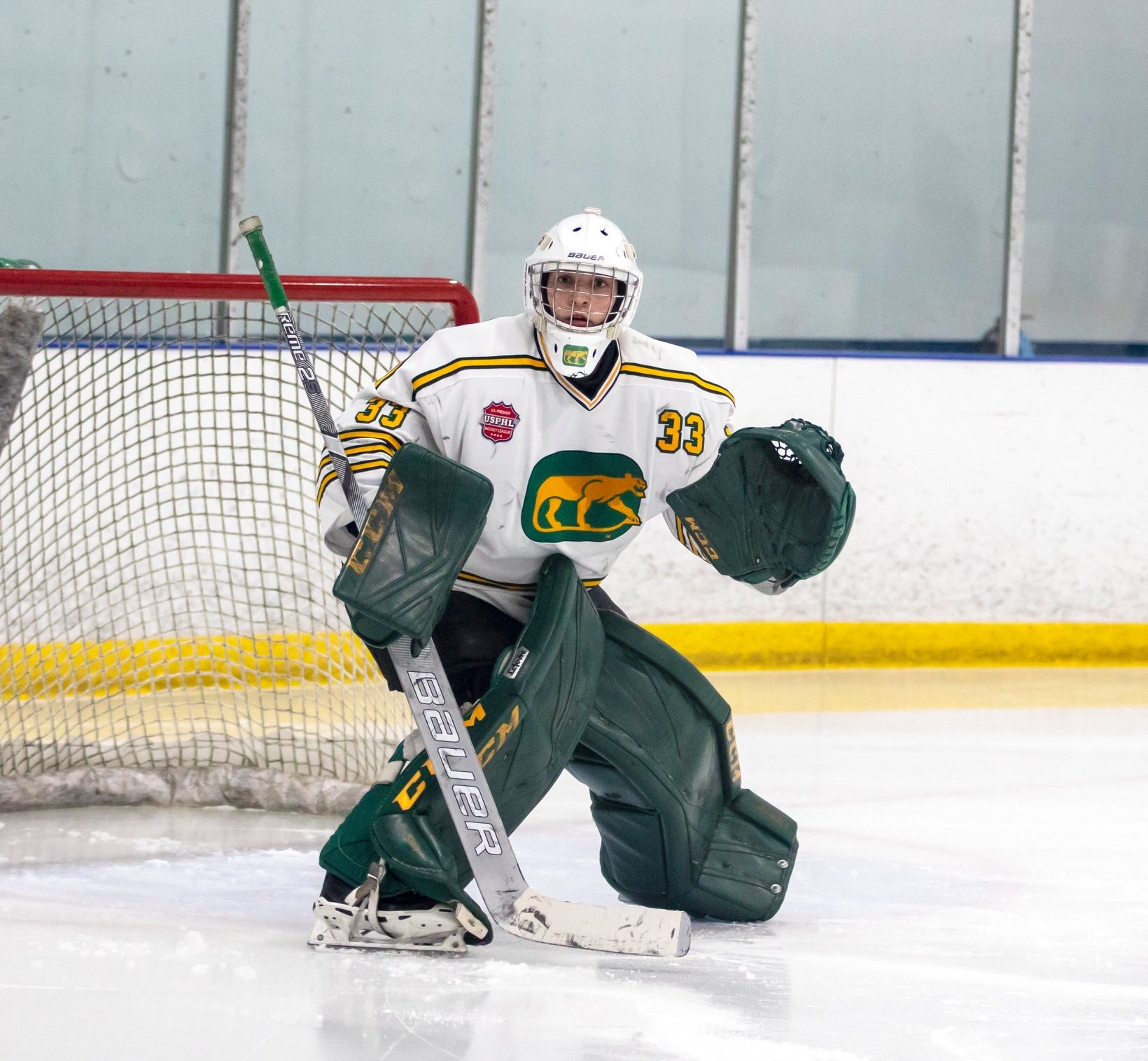 Alex Shaults <br>Willowbrook High School Town<br>Attending University of Michigan