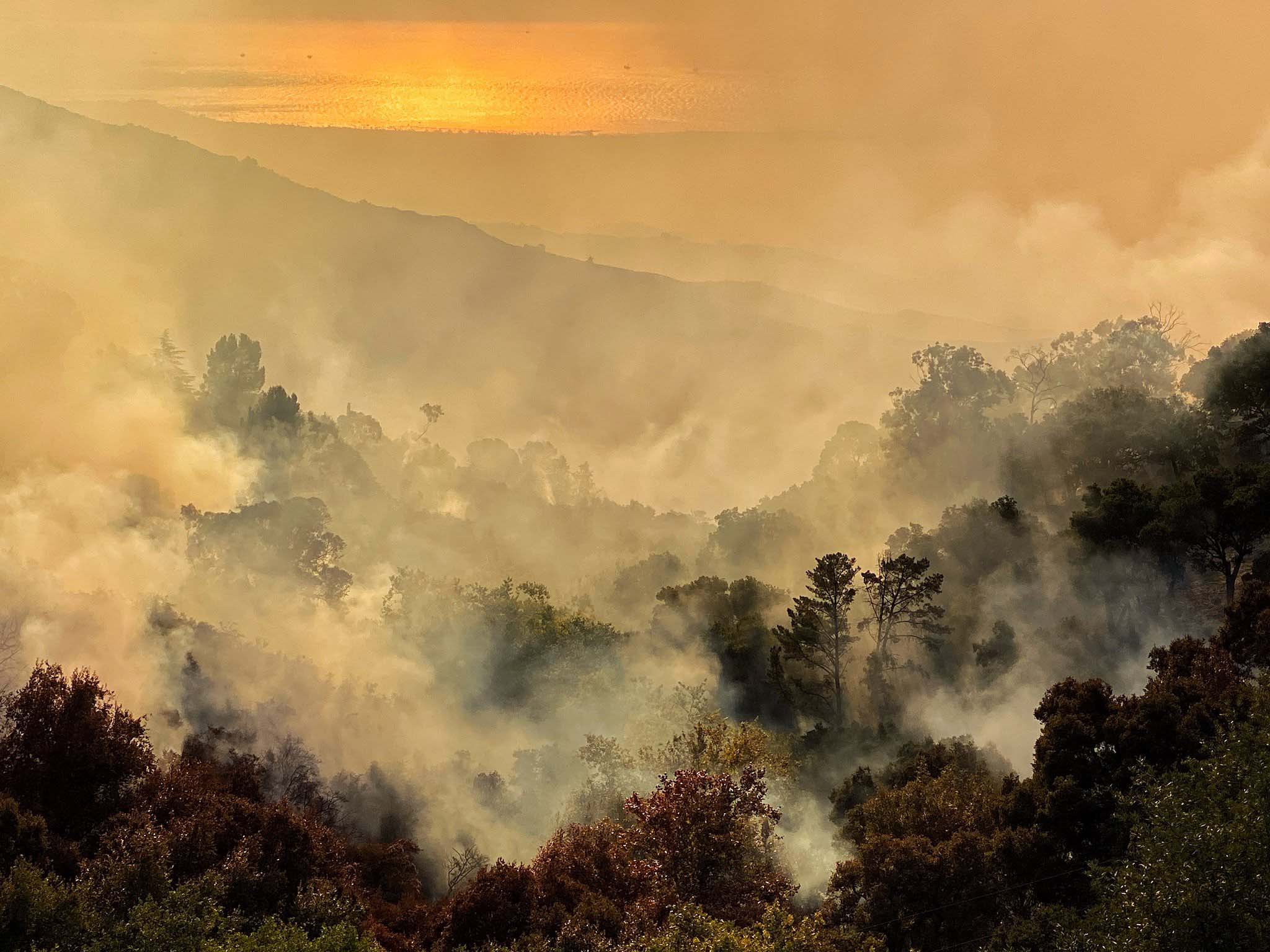 Photos Cave Fire Forces Evacuations In Santa Barbara County NBC   Cave Fire Santa Barbara 2019 Nov 33 