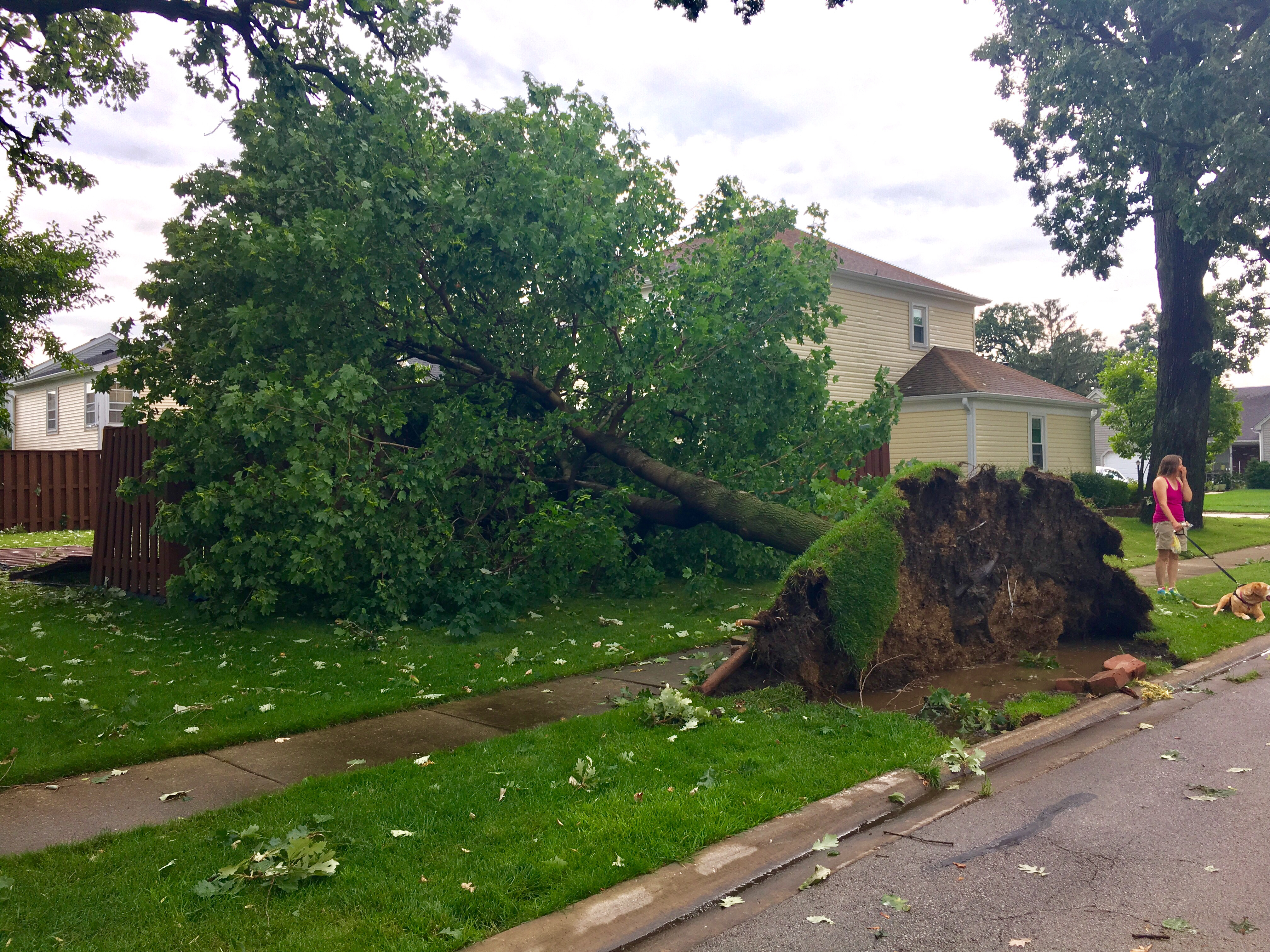 Chicago Severe Storms, Tornado Warnings Leave Homes Damaged, Trees Split and 40K Without Power