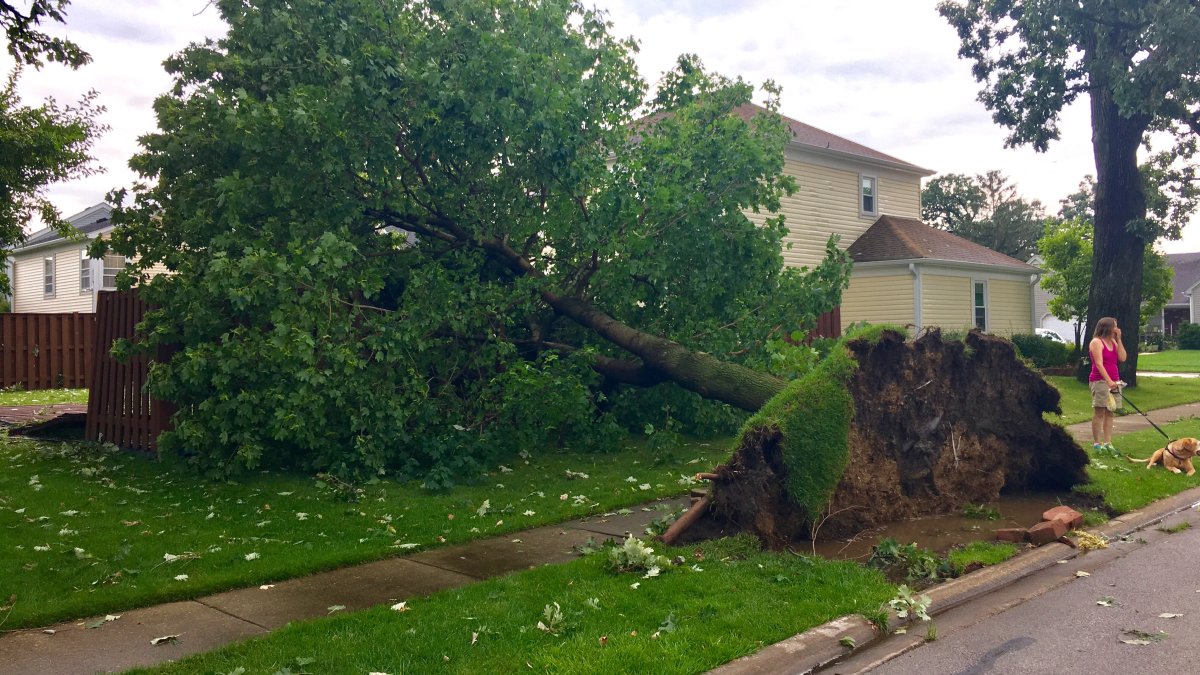 Tempo severo de Chicago, aviso de furacão 40K sem casas danificadas, árvores divididas e eletricidade – NBC Chicago