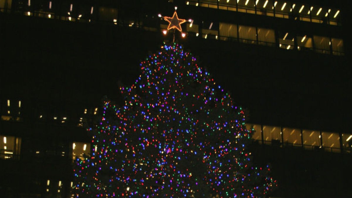 Chicago Begins Search for City’s Official Christmas Tree NBC Chicago