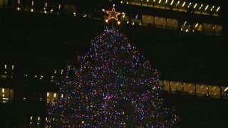 chicago Christmas tree 2