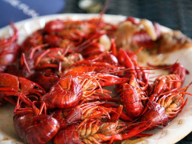 crawfish1