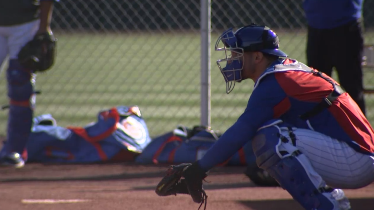 Chicago Cubs Show Up Early to Spring Training – NBC Chicago