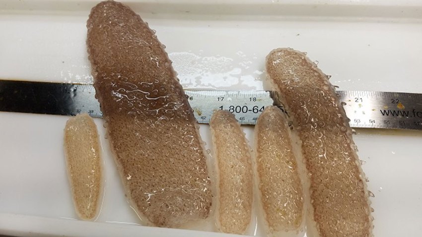 cucumber-image-crop